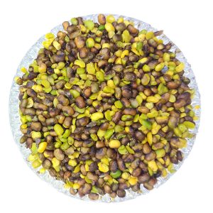 پسته کوهی